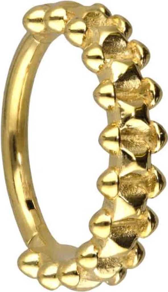 Ohrpiercing, Nasenpiercing, Septum Piercing Chirurgenstahl Segmentring Clicker NIETENDESIGN Gold Innendurchmesser: 10 mm