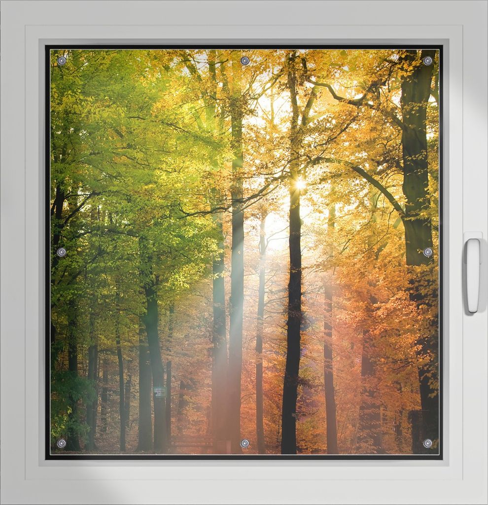 Wallario Lichtschutzbild, Dekorativer Sichtschutz Sonnenschutz 96 x 93 cm mit Motiv: Sonnenuntergang im Herbstwald - Verdunklung ohne Bohren