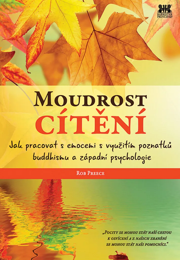 Livre de Psychologie et Bouddhisme : Apprendre à Gérer ses Émotions