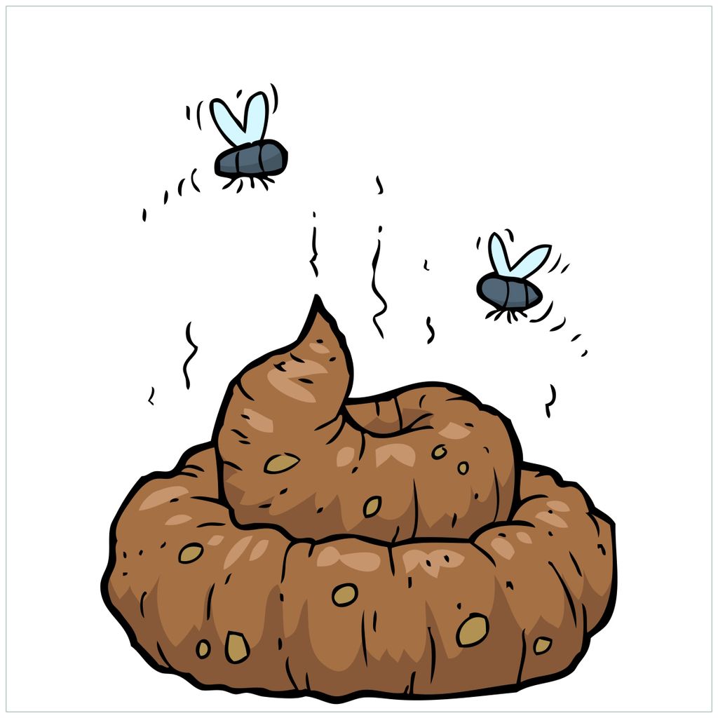 Wallario Magnet für Kühlschrank / Geschirrspüler, magnetisch haftende Folie - 60 x 60 cm, Motiv: Comic Scheißhaufen mit Fliegen