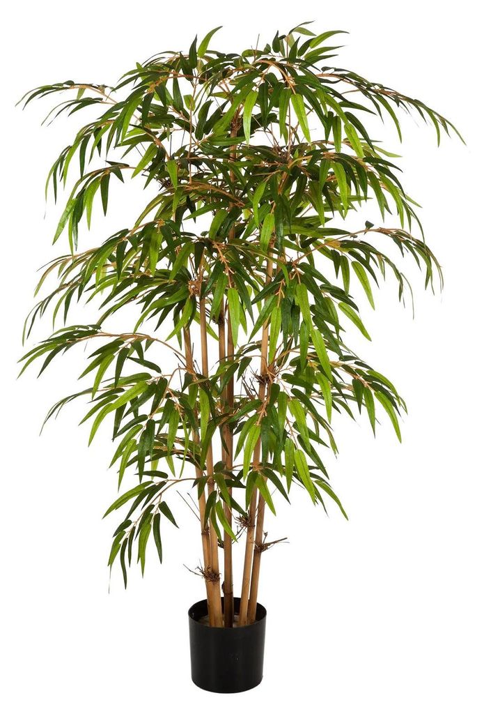 aplanta Künstlicher Bambus - Lasse | 90 cm, Echtholzstamm, für drinnen, Kunstbaum, wie echt, Allergiker geeignet, pflanzliche Dekoration Praxis, ...
