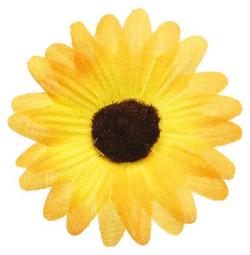 24 Streublüten Sonnenblumen gelb Produktbild 