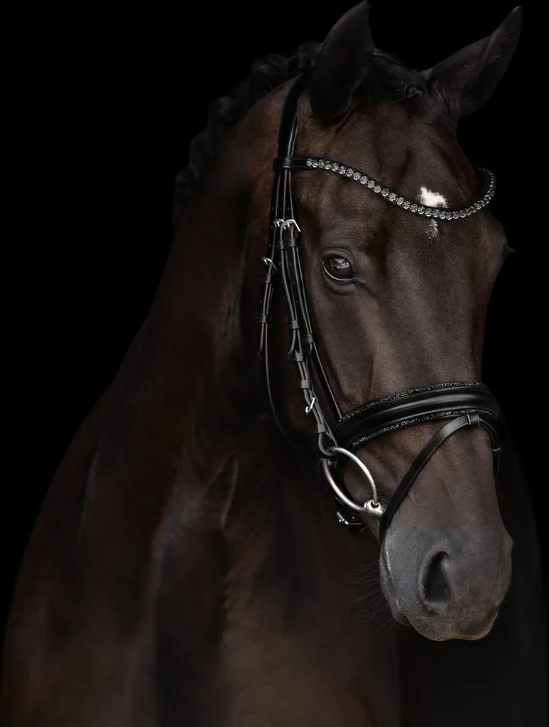 Bridon Kieffer Grace Noir avec Cristaux pour Cheval Sang-Chaud WB