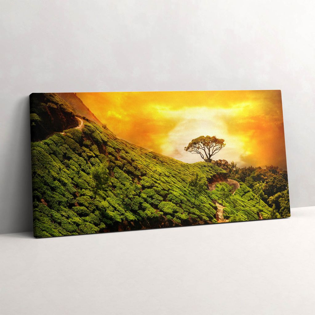 Tee-Hügel – Leinwandbild Wandbild – 120x60 cm – Leinwandbilder – Wandbilder – Schlafzimmer – Flur