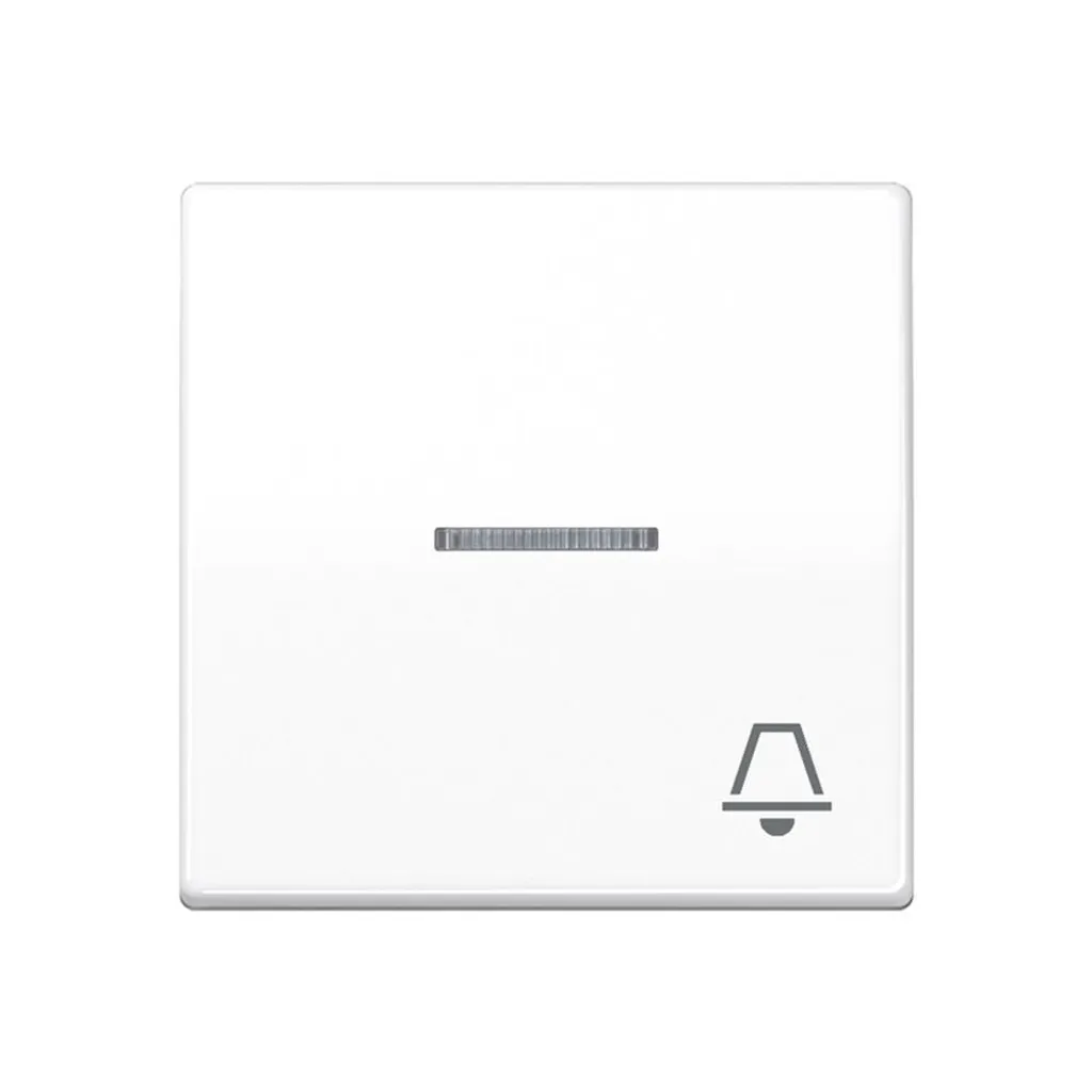 Plaque bascule JUNG AS591KO5KWW avec lentille fibre optique AS 500