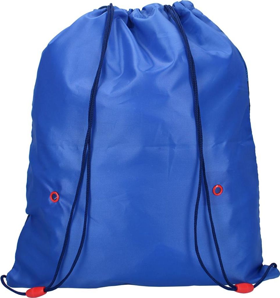 SET DI BORSE Per Personaggi Paw Patrol 2024 Furyu 21 Cm SKYE CHASE EUR - Foto 9