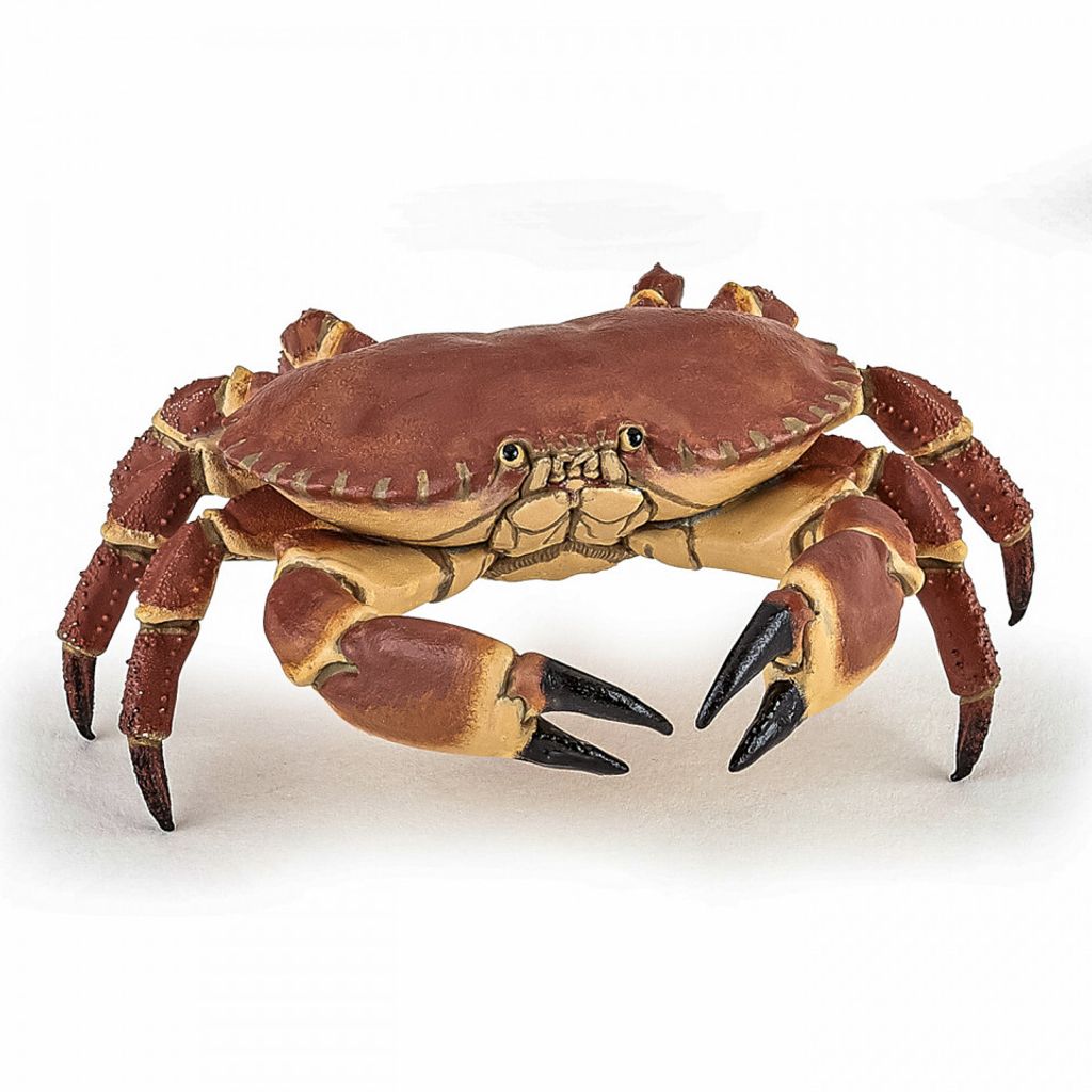 A realistic crab figure presented against a plain white background.