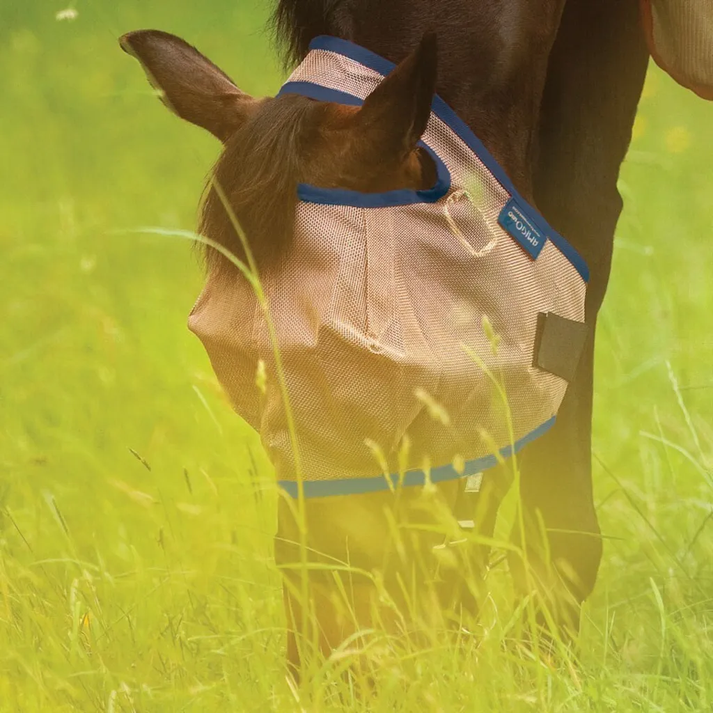 Horseware Mio Maschera per Mosche Bronzo Navy - Design Amigo