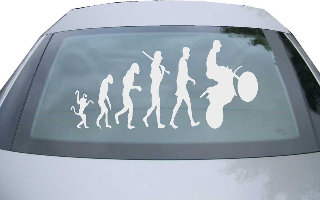 Indigos UG - Aufkleber Heckscheibe & Motorklappe DE6286 - silber - 600x285 mm - human evolution - Auto Scheiben Fenster Heckklappe Tuning Racing JD...