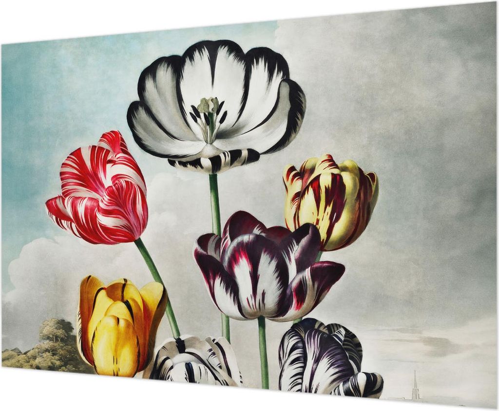 Wandtapete - Dekorative Tapete für Wohnzimmer - Tapetenfolie für Wanddekoration - 208x146 cm - Bunte Tulpen