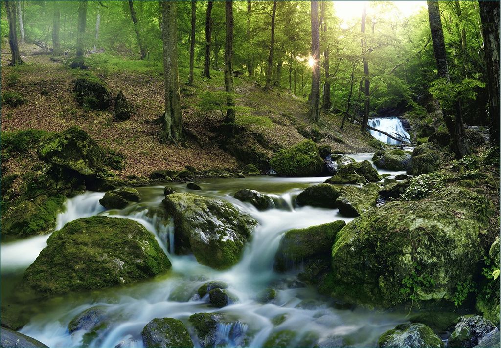 Wallario Fototapete Vliestapete, seidenmatte Oberfläche, einfache Verarbeitung, Größe 350 x 245 cm, Motiv Fließender Bach im Wald bei Sonnenunt...