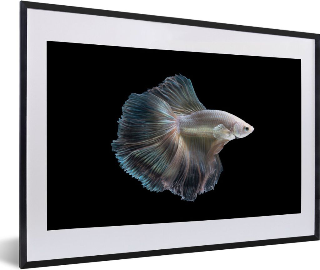 MuchoWow Gerahmtes Poster Fisch - Schwanz - Weiß 60x40 cm - Poster mit Schwarzem Bilderrahmen Wandposter Rahmen Foto Bilder - Schlafzimmer - Pla...