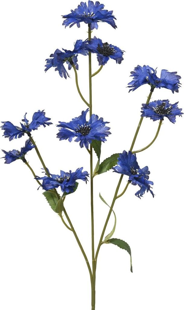 EVERLANDS Kornblume Dunkelblau 10 Blüten 55 cm - Kunstblumen