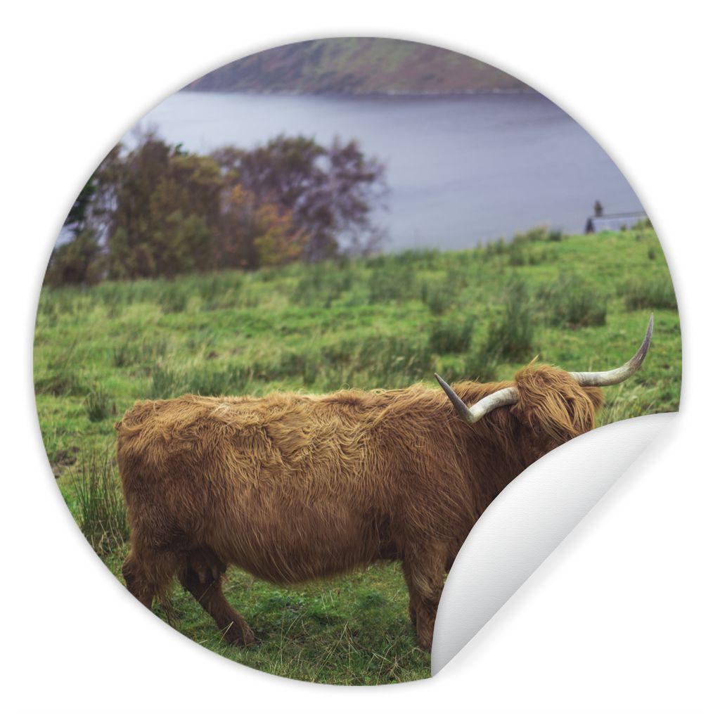 MuchoWow Runde Wandtattoo - Wandsticker Tapete Aufkleber Schottische Highlander - Gras - Wasser - Tiere Ø 50 cm Selbstklebend und Repositionierb...