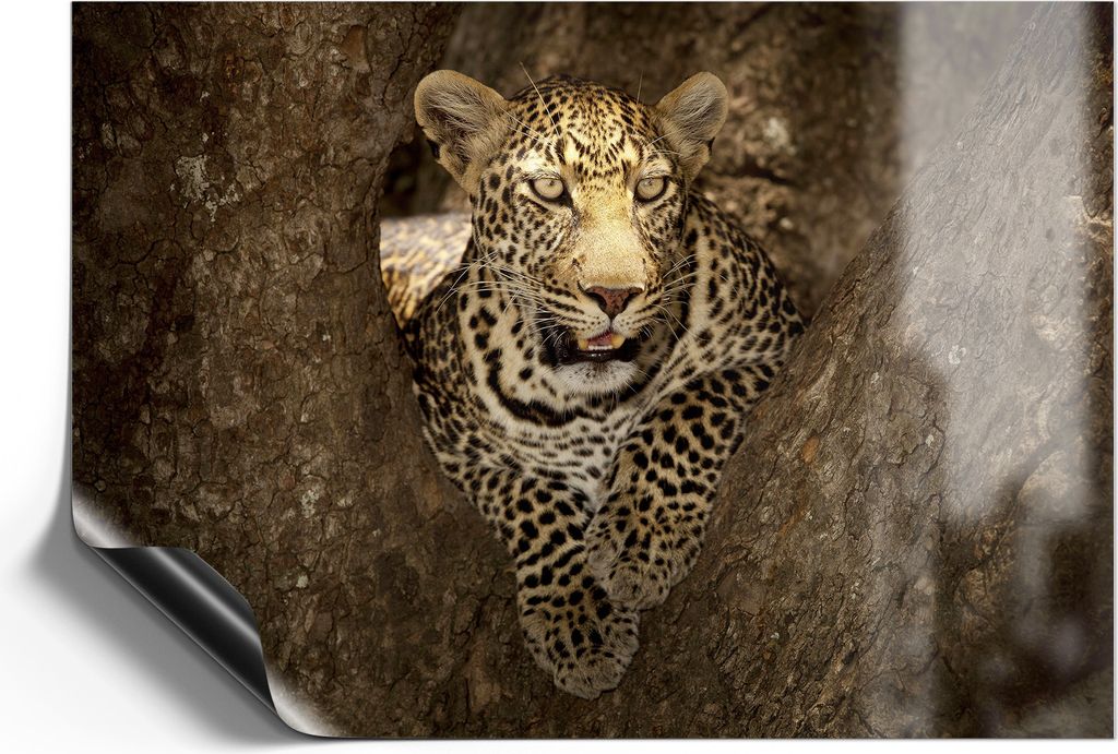 DEQORI Magnetmatte Universal 59x42 cm (A2) 'Versteckter Jäger' Magnetfolie Kalender Planer