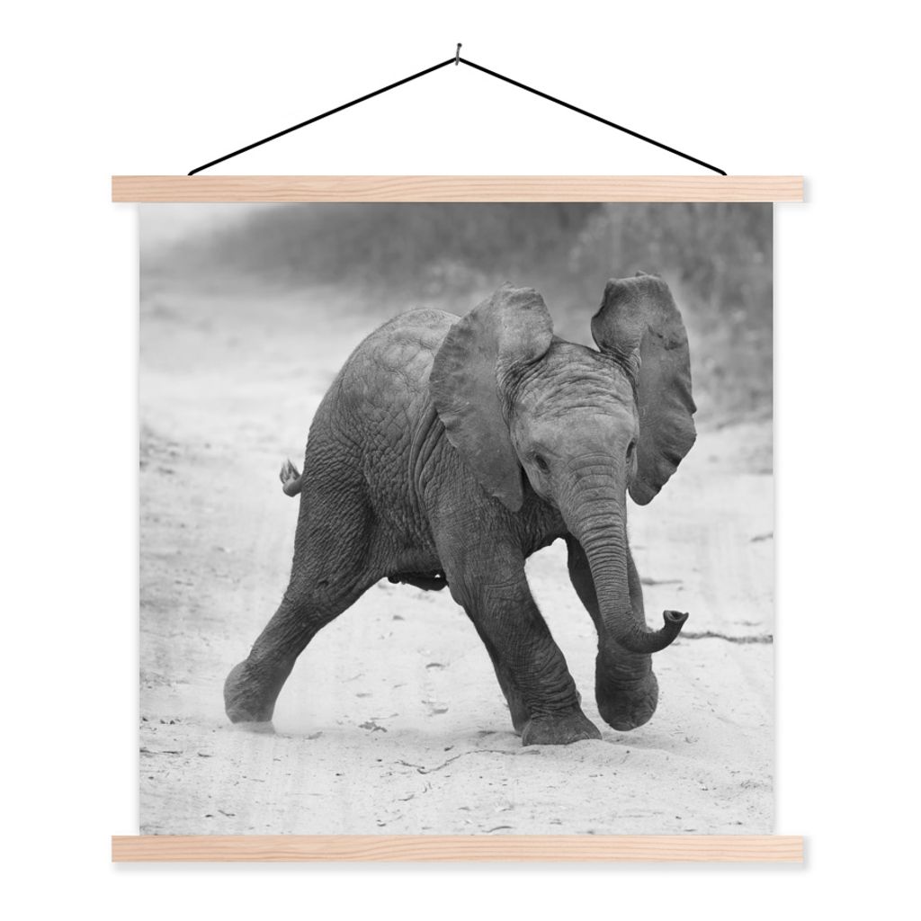 MuchoWow Textilposter Elefant - Baby - Tiere - Kröte - Schwarz und weiß 120x120 cm mit holzfarbenen Rahmen - Textil-Poster