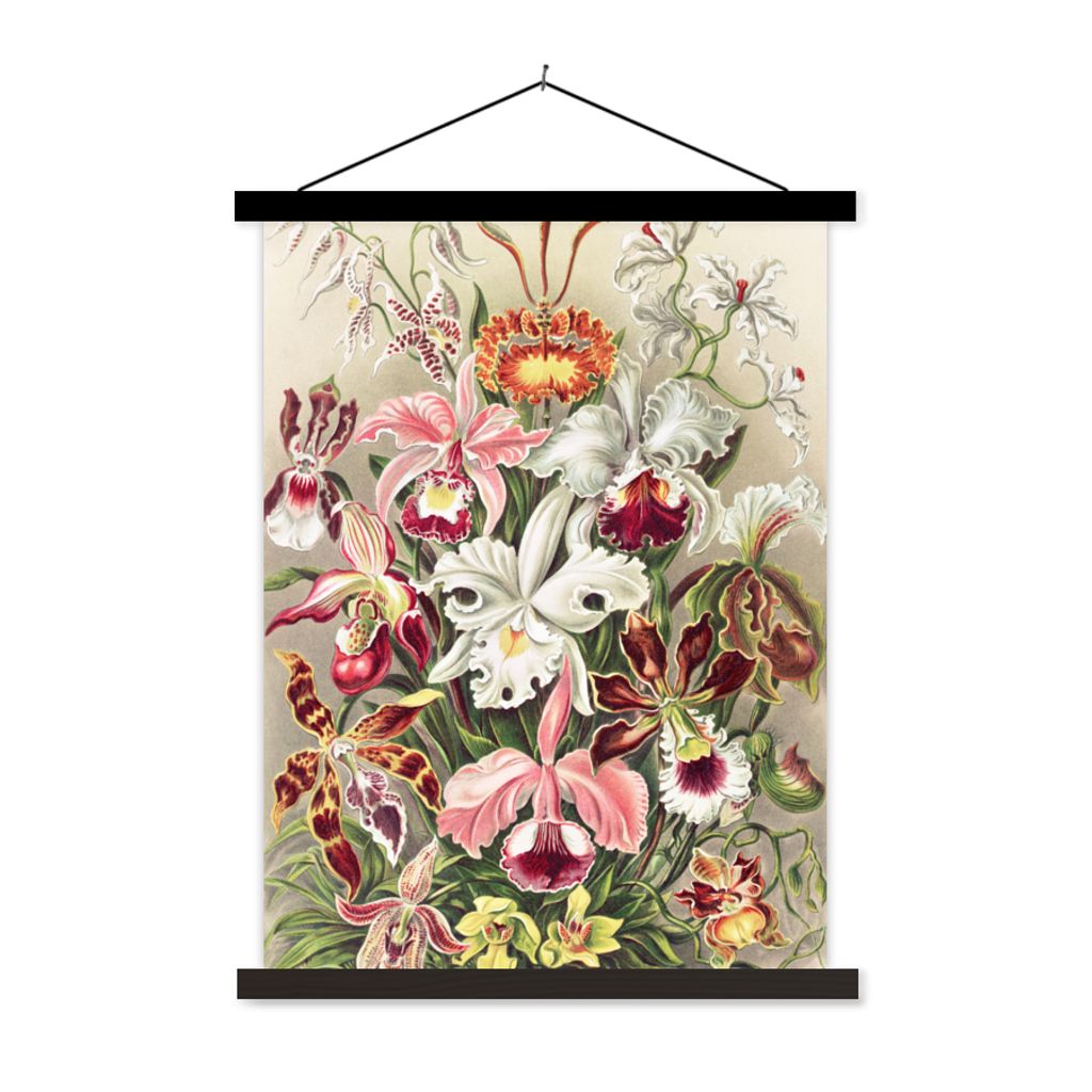 MuchoWow Textilposter Blumen - Ernst Haeckel - Jahrgang - Orchidee 60x80 cm mit schwarzem Rahmen - Plakathalter