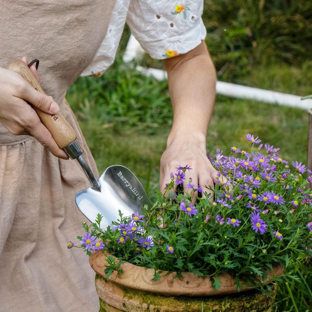 Edelstahlhandschaufel mit Holzgriff - Kleine Schaufel für Gartenwerkzeuge zum Pflanzen - Gartenpflanzen umtopfen, umpflanzen und Mischen von Samen...