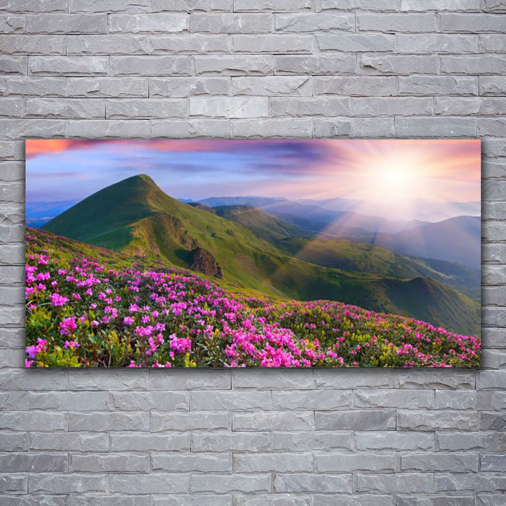 Glasbilder 120x60 Wandbild Druck auf Glas Gebirge Wiese Blumen Landschaft