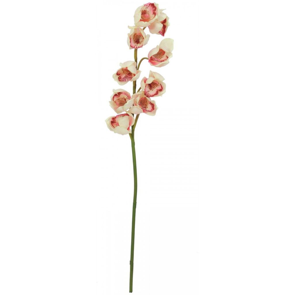 EUROPALMS Cymbidiumzweig, künstlich, creme-pink, 90cm (82530311)