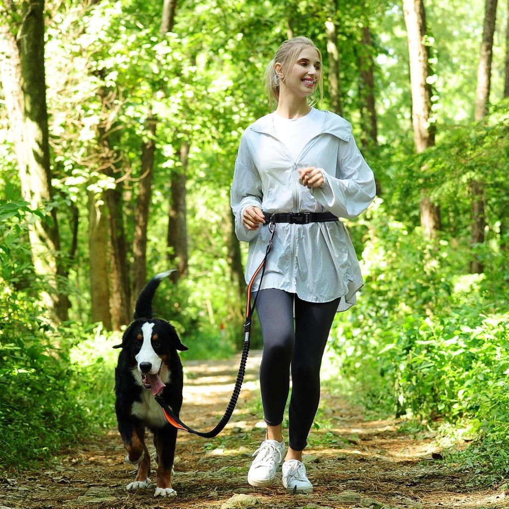 Verstellbare handsfree Hunde-Leine mit schockabsorbierendem Bungee und reflektierenden Elementen für Spaziergänge und Joggen