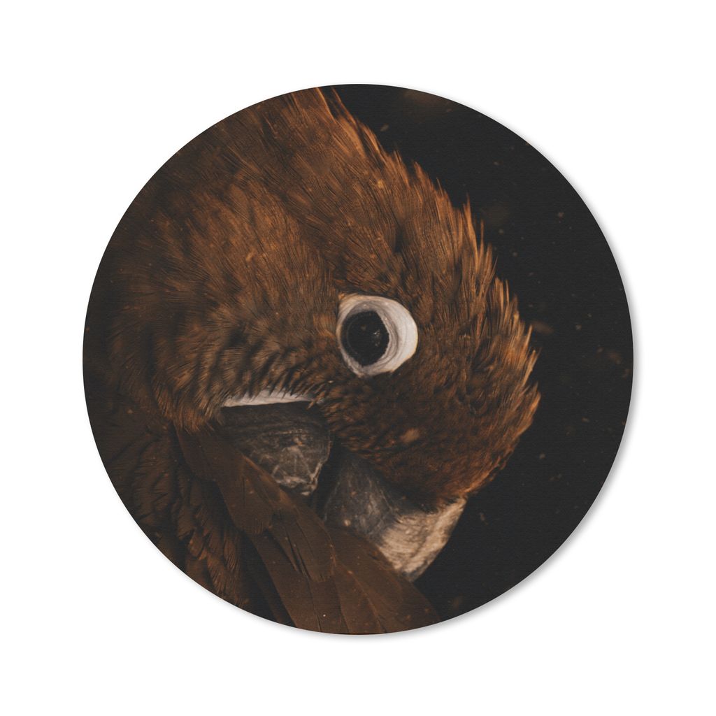 MuchoWow Mauspad Mousepad Papagei - Orange - Schwarz 30x30 cm - Mousepads - Maus Mat - Pad - Mausunterlage - Tischunterlage - Schreibtischmatten