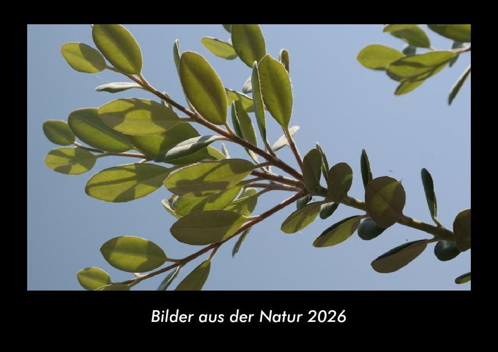 Bilder aus der Natur 2026 Fotokalender - Querformat DIN A3, Monatskalender mit Bild-Motiven aus Fauna und Flora, Natur, Blumen und Pflanzen