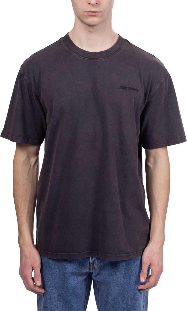 DICKIES - Herren-T-Shirt Plentywood - Größe XL Produktbild 