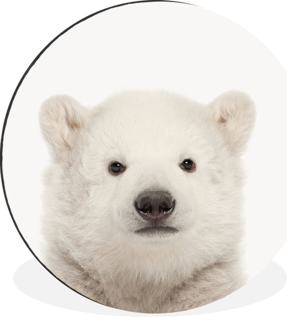 MuchoWow Aluminium Wandkreis Eisbär - Tiere - Weiß - Kinder - Jungen - Mädchen Ø 90 cm Wanddeko Modern Wohnzimmer - Mauerkreis - Wandbilder -...