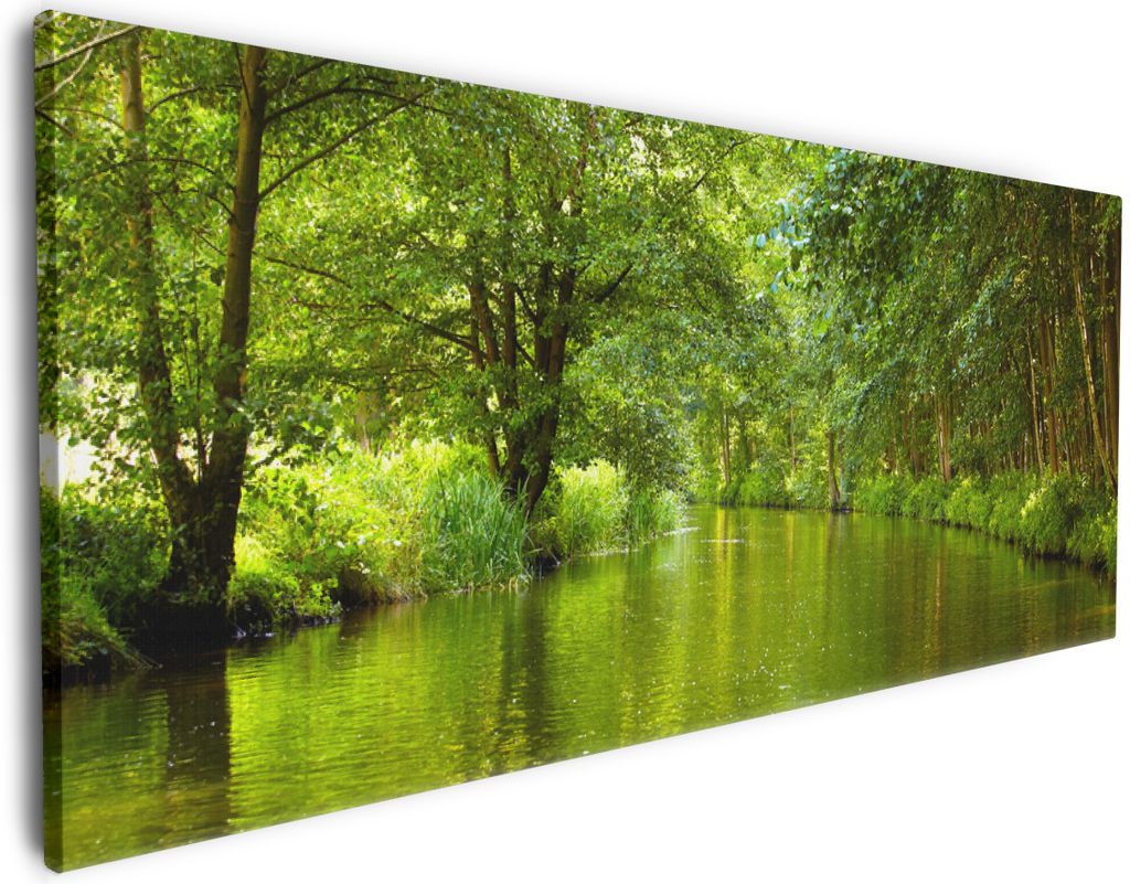 Wallario Premium Leinwandbild Spreewald in Brandenburg grüne Wälder und Spiegelungen im Wasser in Größe 80 x 200 cm
