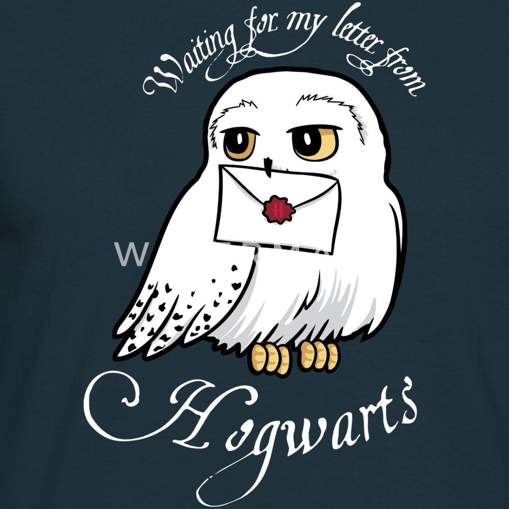 Spreadshirt Harry Potter Hedwig Brief Männer T-Shirt, XL, Navy