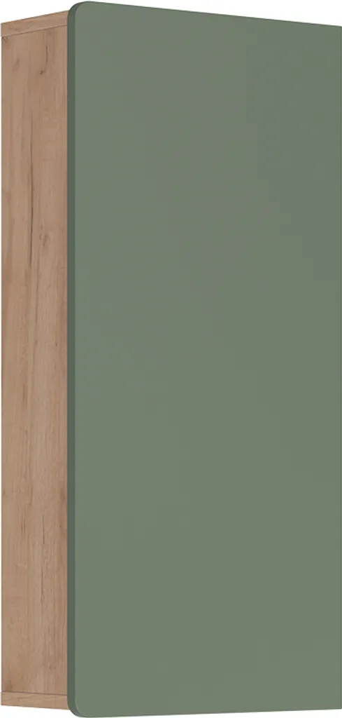 Gagnez de la place avec l'armoire suspendue Vicco Izan Vert et Chêne