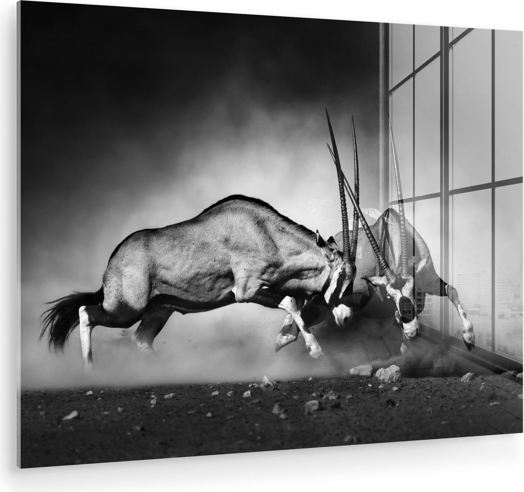 MuchoWow Glasbilder - Bilder auf Wandbild - Foto auf Glas Antilope - Schwarz und weiß - Porträt - Wildtiere - Tiere 80x60 cm Wanddekoration aus G...