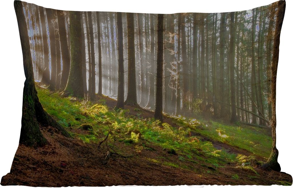 MuchoWow Outdoor Kissen - Sonne - Äste - Bäume - Wald - Natur - 60x40 cm - Wetterfest - Lounge Kissen - Zierkissen - Kissen für Innenräume