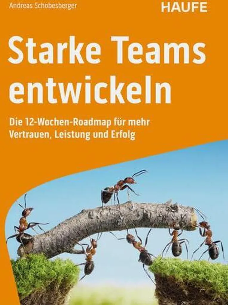 Starke Teams entwickeln Résoudre les Conflits et Souder vos Équipes
