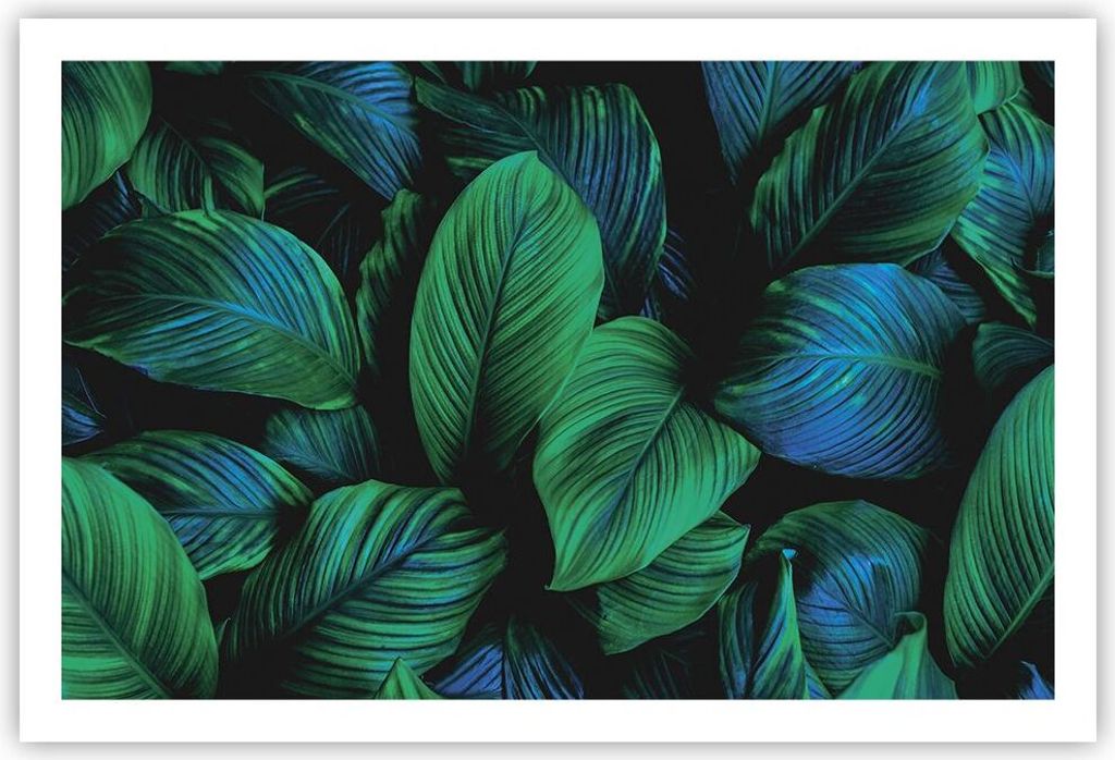 Poster - Poster ohne Rahmen - Blätter Pflanzen Exotik - 91,5x61 cm - Wand Bild - Wanddeko - Wandbilder - Kunstposter - Wandposter - Bilder - Kunst...