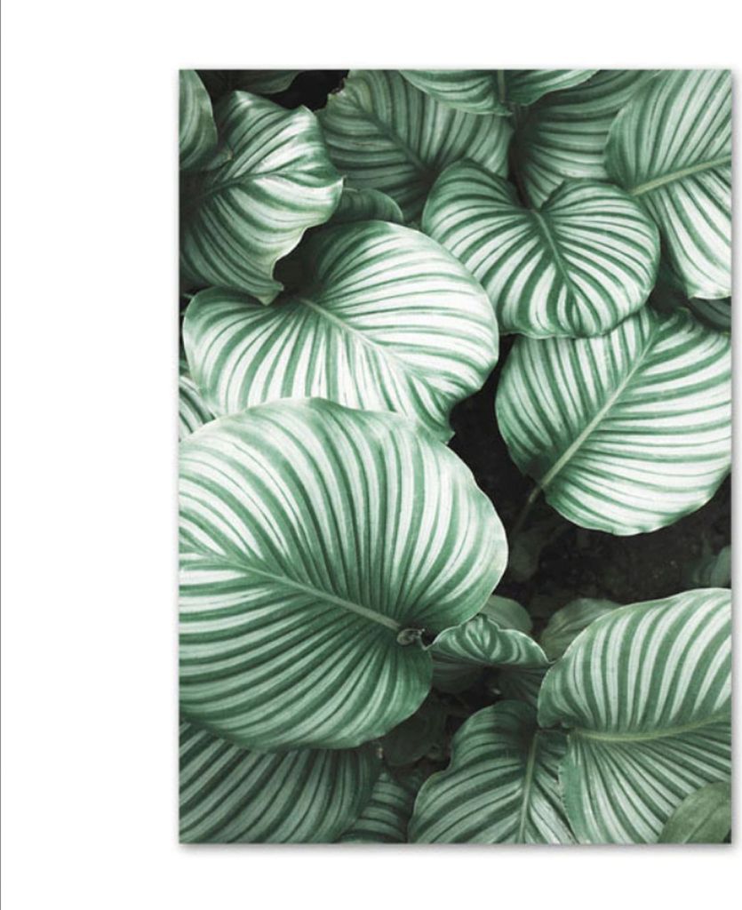 TPFLiving Kunstdruck LW-42 (OHNE RAHMEN) Poster - Leinwand - Wandbild - Hochauflösender Giclée-Druck, langlebig und hochwertig - Blumen und Blät...
