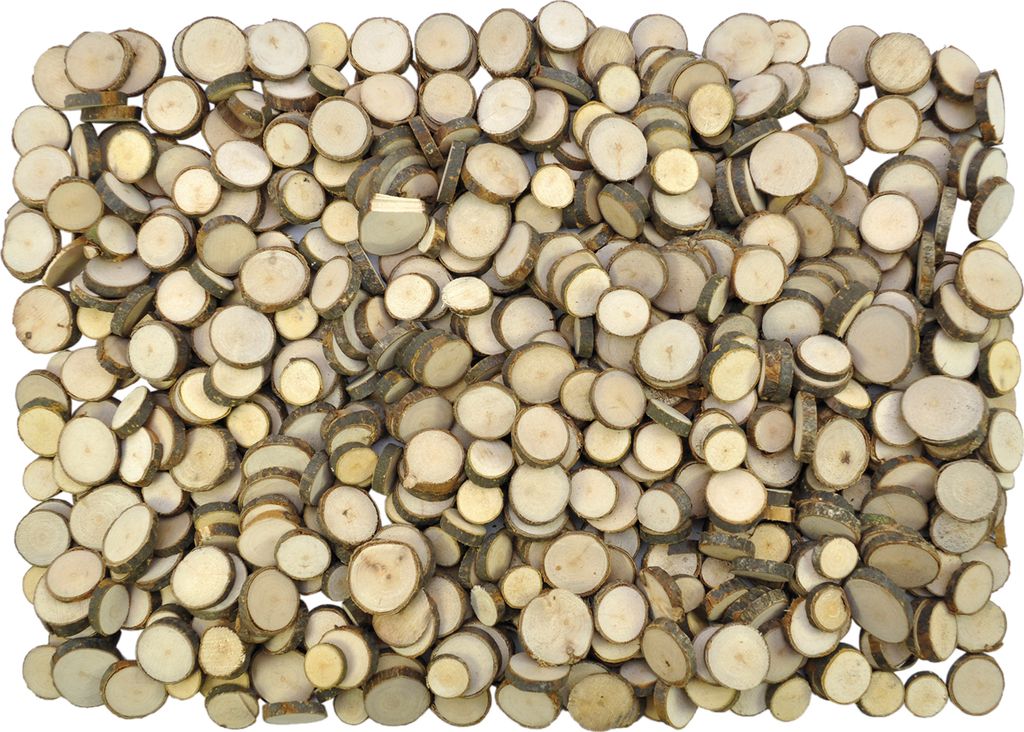 EDUPLAY 200073 Naturholzscheiben zum Basteln mit verschiedenen Ø von 1,5 bis 5 cm, Höhe 5 mm, natur (1000 g im Beutel)