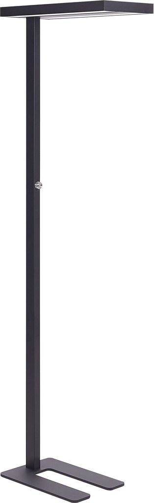 BELIANI LED-Stehlampe Schwarz Metall 197 cm mit Knopf Dimmschalter Drehdimmer Langes Kabel Bogenlampe Industrie Wohnzimmer Ausstattung Beleuchtung