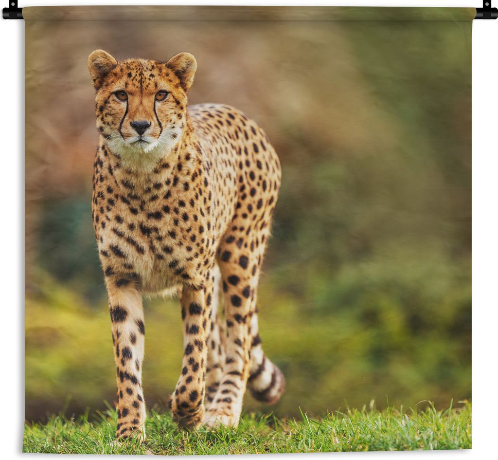 MuchoWow Wandteppich Wandbehang Wildtiere - Gras - Leopard - Natur 60x60 cm Tapisserie Dekoration Wandtuch - Dekorationen - Wand Decke