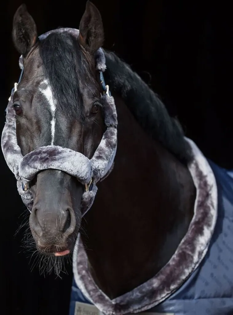 Licol Anti-Frottement Poney Bucas Show-Line Full Fur - Navy/Grey Chic