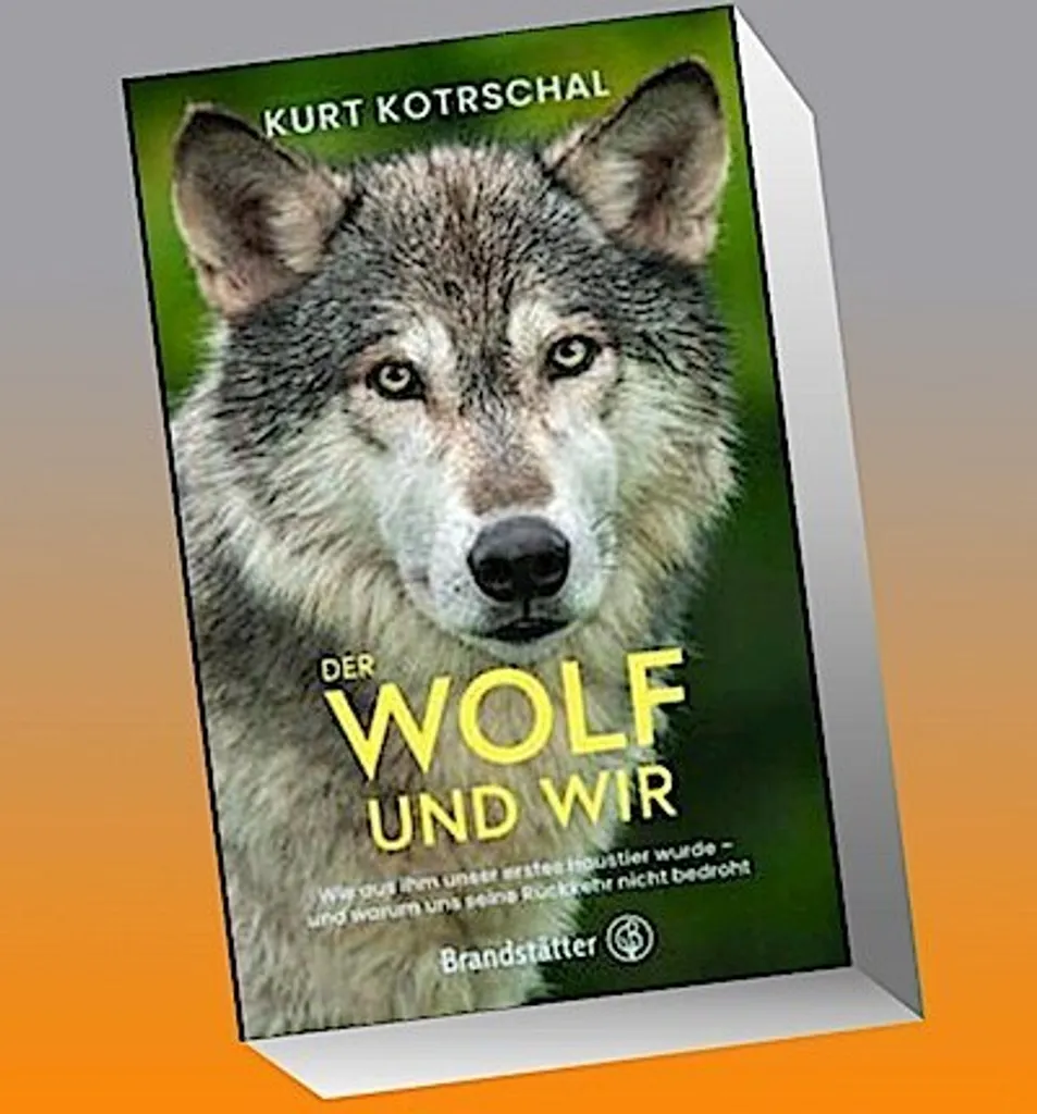 Der Wolf und wir : livre illustré sur les loups et l'écologie sauvage