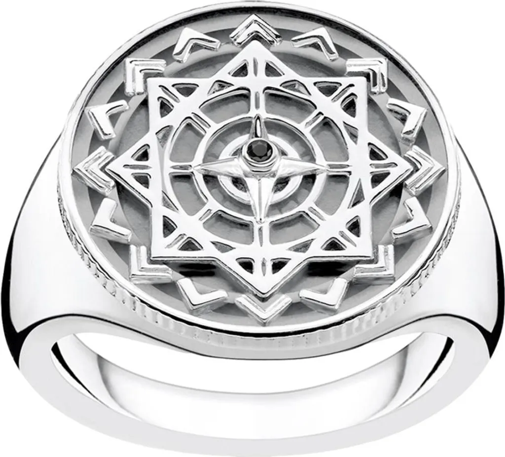 Bague Anneau Mixte Argent 925 Thomas Sabo Largeur 54 Design Épuré