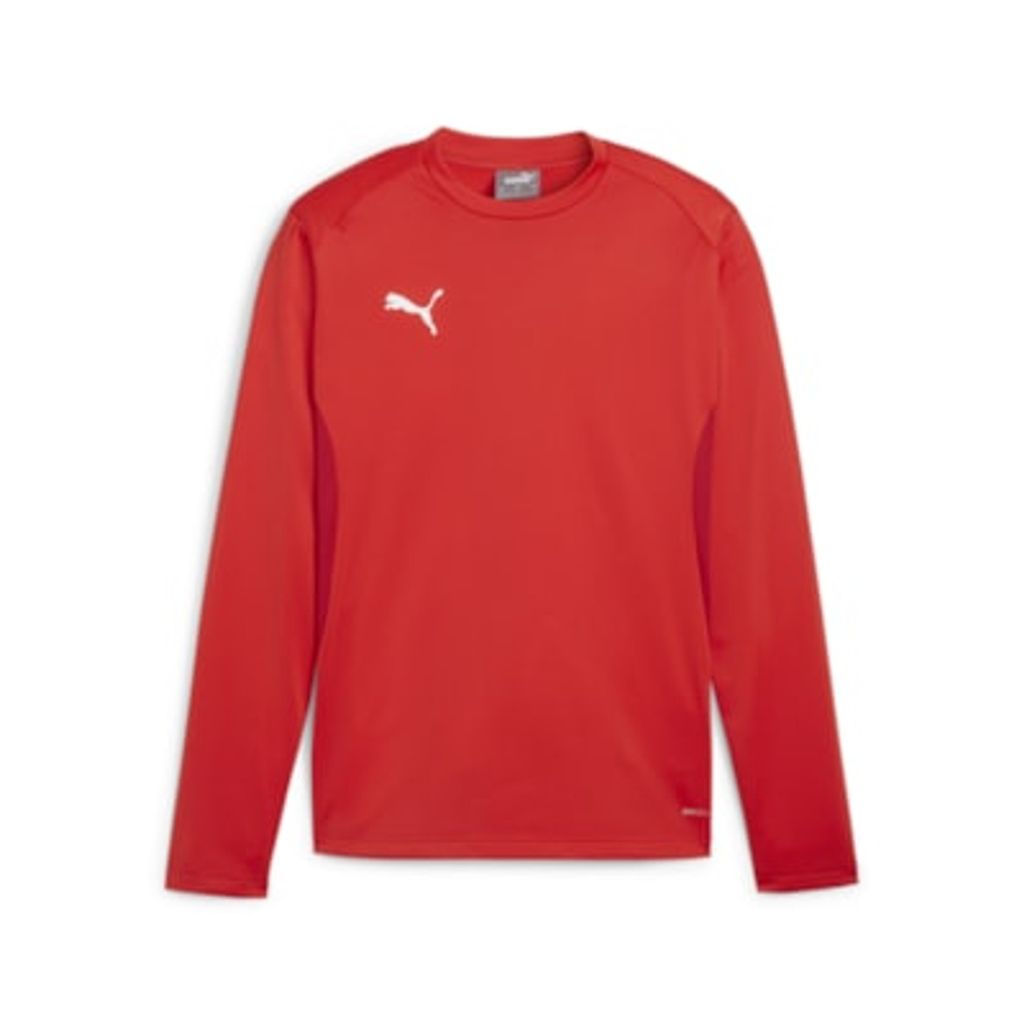 Puma Teamgoal Trainingssweat Herren - Rot
