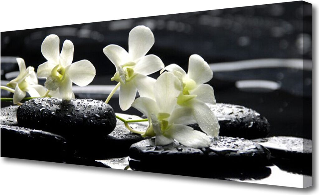 Tulup Leinwand-Bilder 125x50 Wandbild Canvas Kunstdruck Blumen Steine Pflanzen