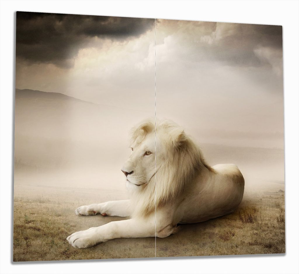 Wallario Herdabdeckplatte aus Glas, Größe 60 x 52 cm Produktbild 