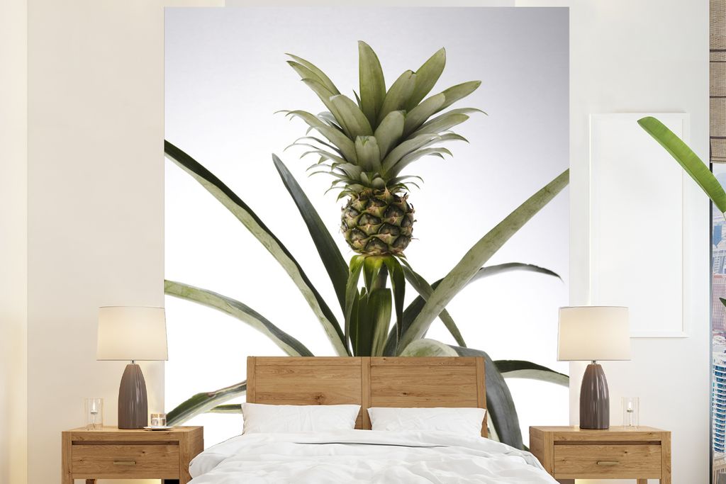 MuchoWow Fototapete für Wohnzimmer oder Schlafzimmer Wandtapete Vinyl Motivtapete Ananaspflanze - Topf - Licht - 225x280 cm - Wohnzimmer tapete