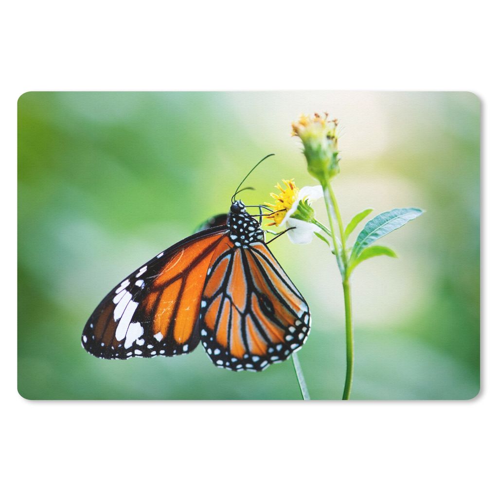 MuchoWow Schreibtischunterlage Schmetterling - Blumen - Insekten 60x40 cm - XXL Mauspad - Großes Mauspad