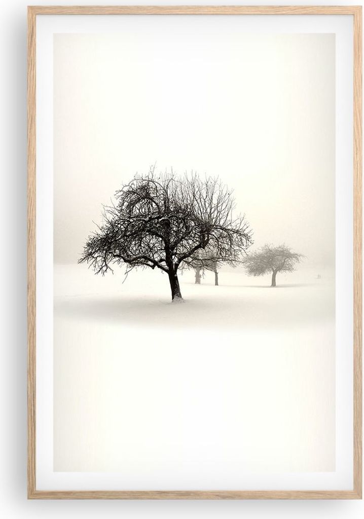 Gerahmtes Poster - Rahmen in heller Eiche - Bäume Schnee Nebel - 61x91,5 cm - Wand Bild - Wanddeko - Wandbilder - Wandposter - Bilderrahmen - Bild...