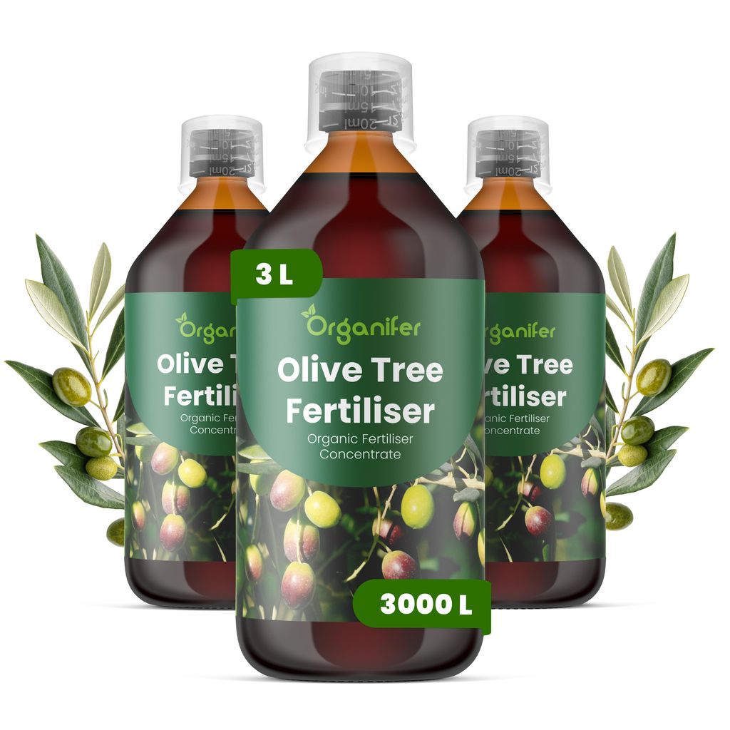 Olivovník Tekuté Hnojivo 3x1 L – 2-1-8 NPK – Pro Olivovníky Obrázek produktu 